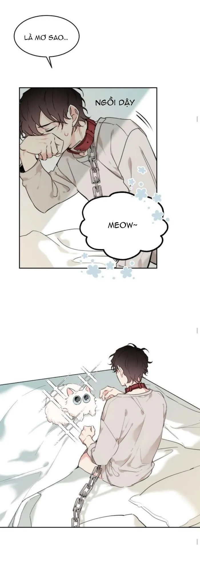 May Belongs To Me Chapter 15 Trang 15