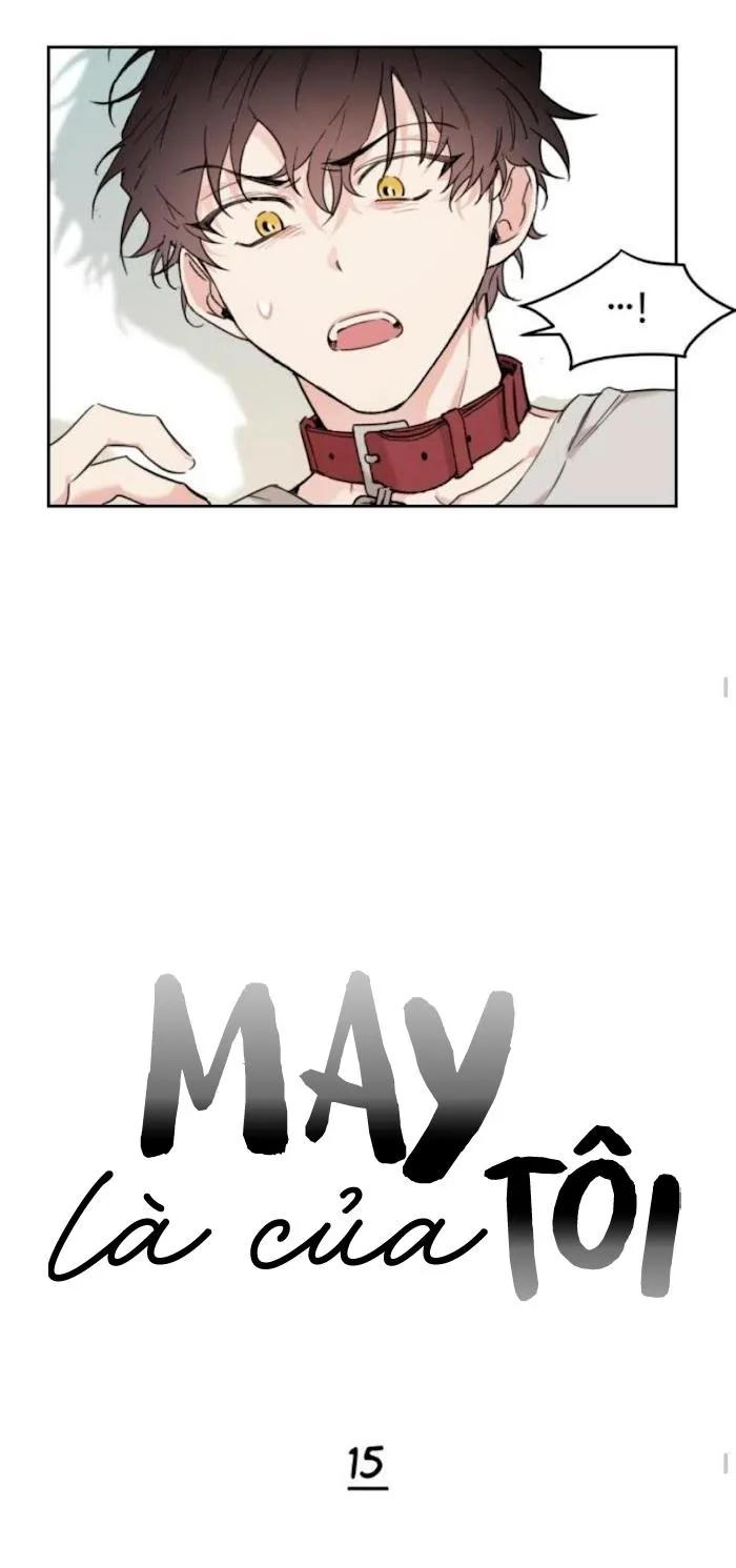 May Belongs To Me Chapter 15 Trang 16