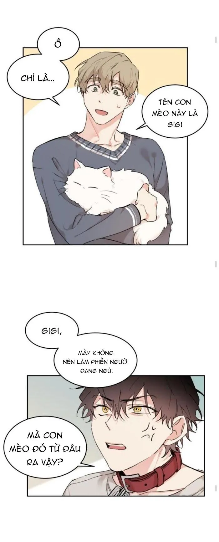 May Belongs To Me Chapter 15 Trang 18