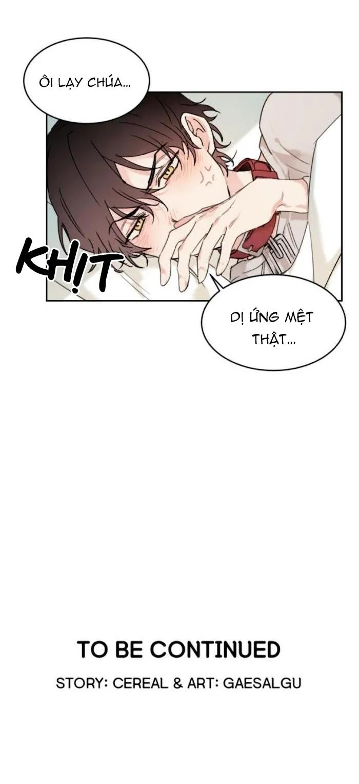 May Belongs To Me Chapter 15 Trang 30