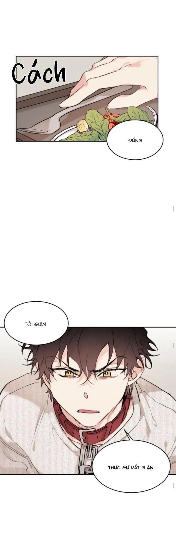 May Belongs To Me Chapter 16 Trang 9