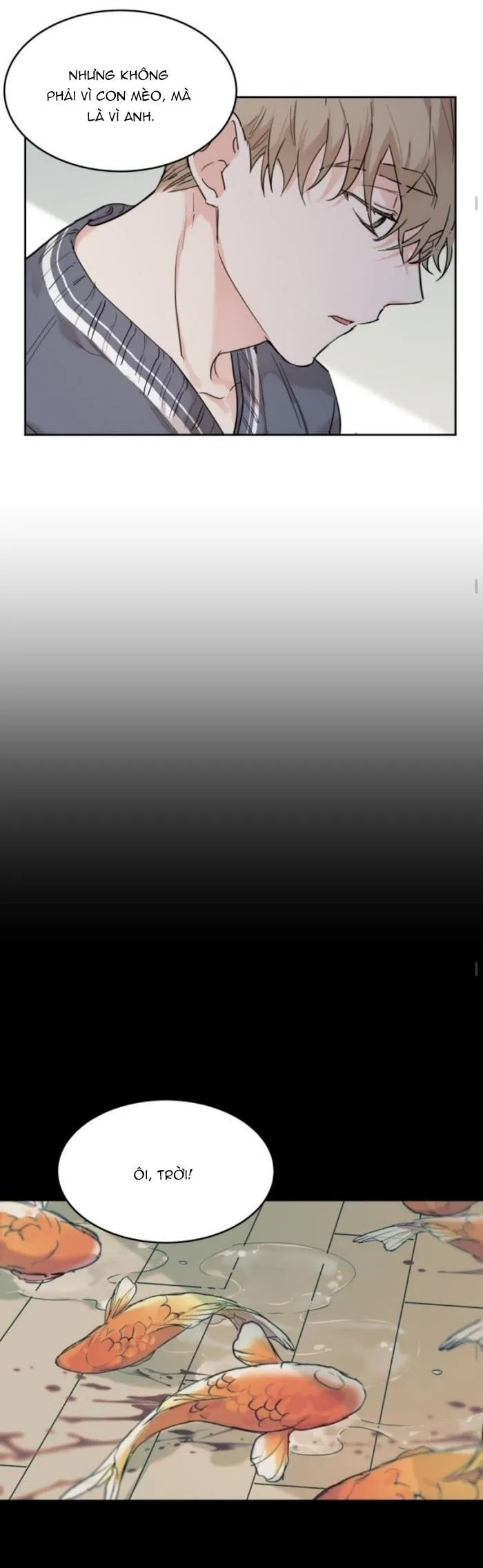 May Belongs To Me Chapter 16 Trang 10