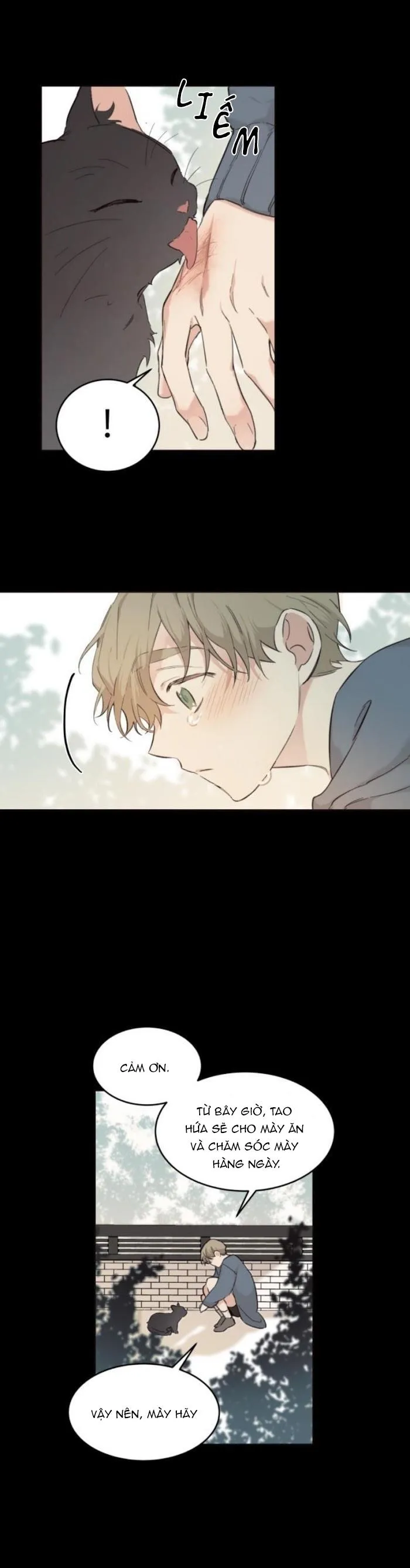 May Belongs To Me Chapter 16 Trang 13