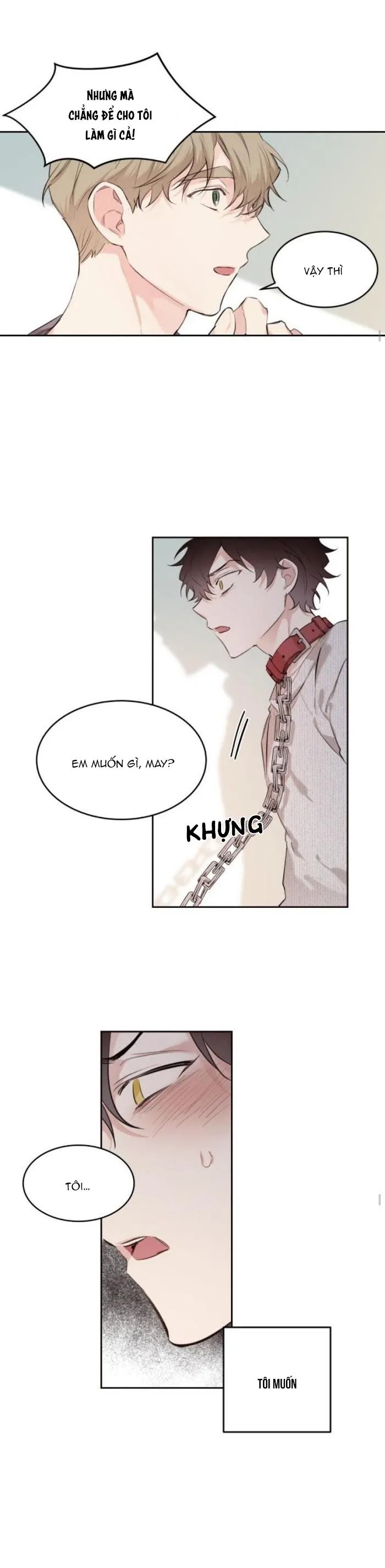 May Belongs To Me Chapter 16 Trang 15