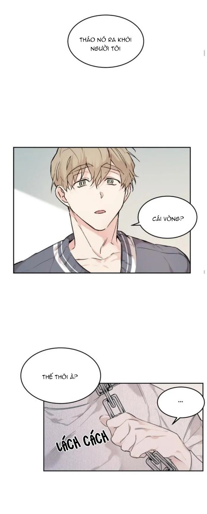 May Belongs To Me Chapter 16 Trang 17