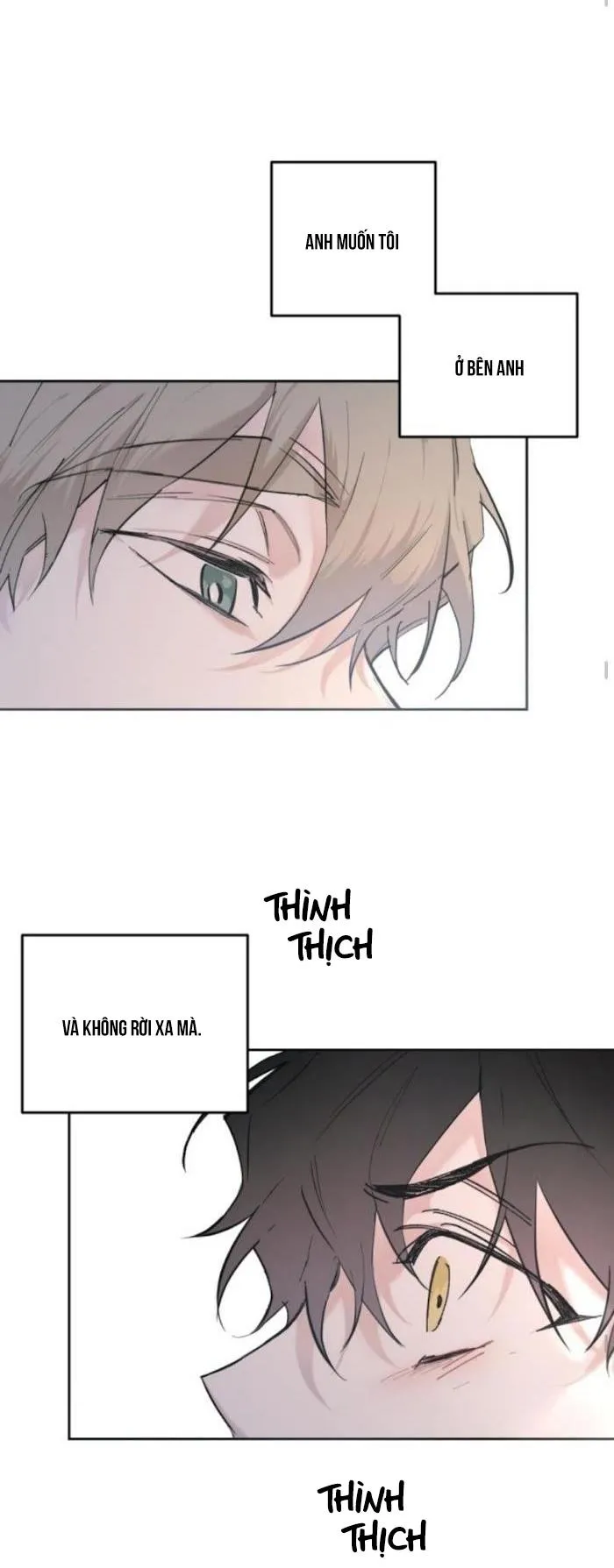 May Belongs To Me Chapter 16 Trang 19