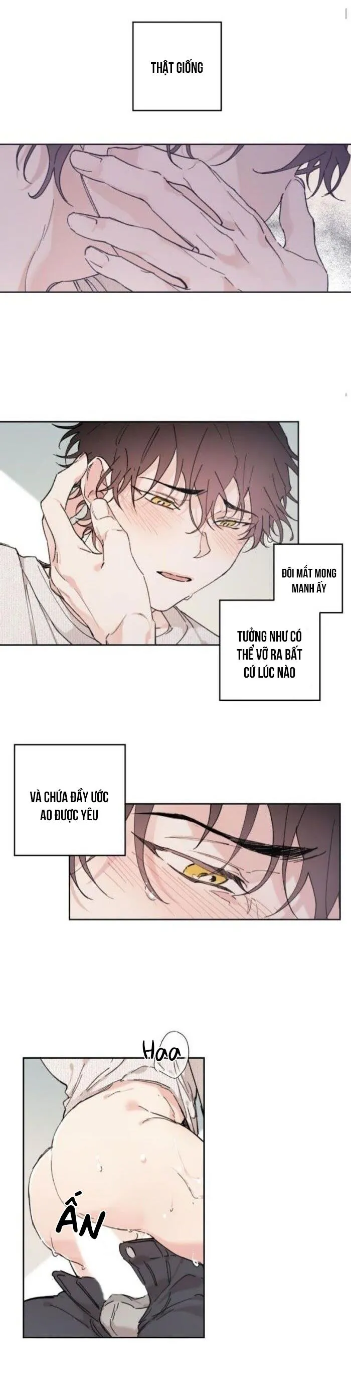 May Belongs To Me Chapter 18 Trang 19