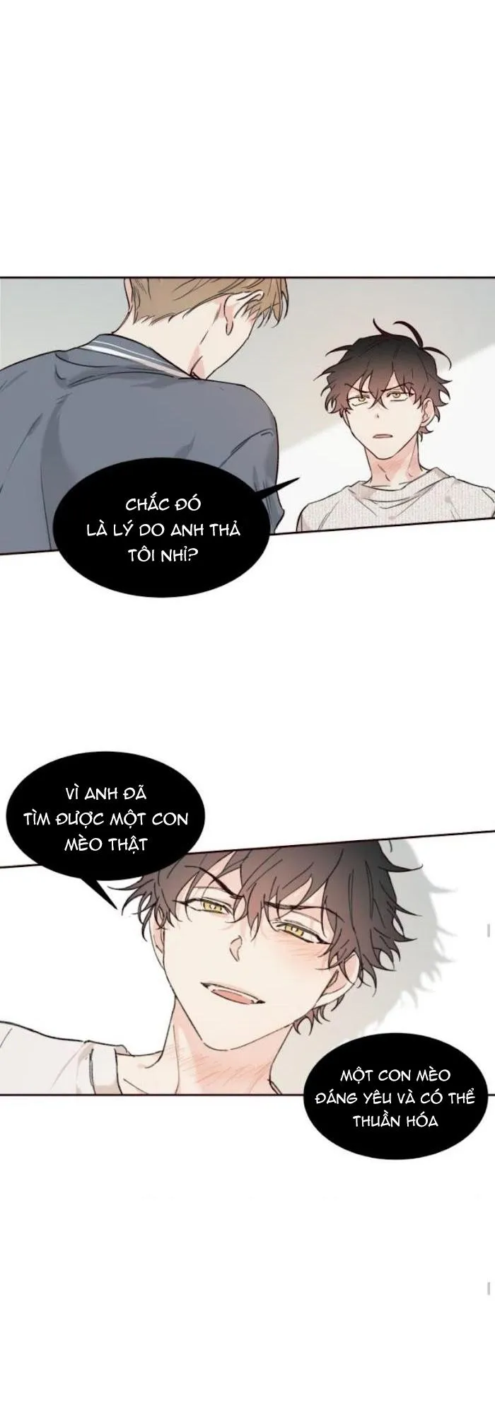 May Belongs To Me Chapter 19 Trang 7