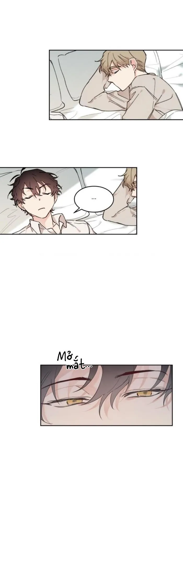 May Belongs To Me Chapter 19 Trang 17