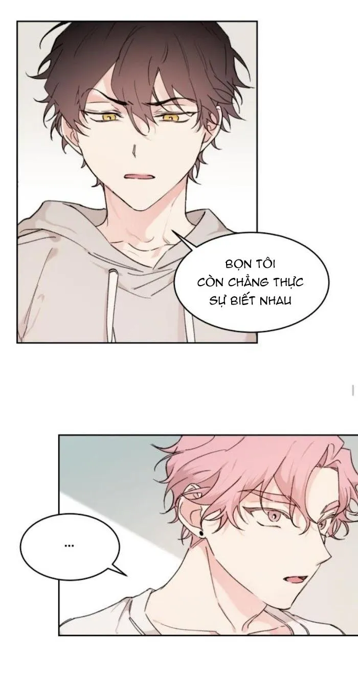 May Belongs To Me Chapter 20 Trang 15