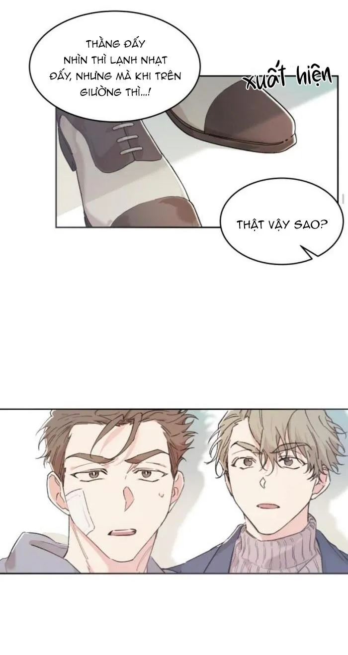 May Belongs To Me Chapter 21 Trang 20