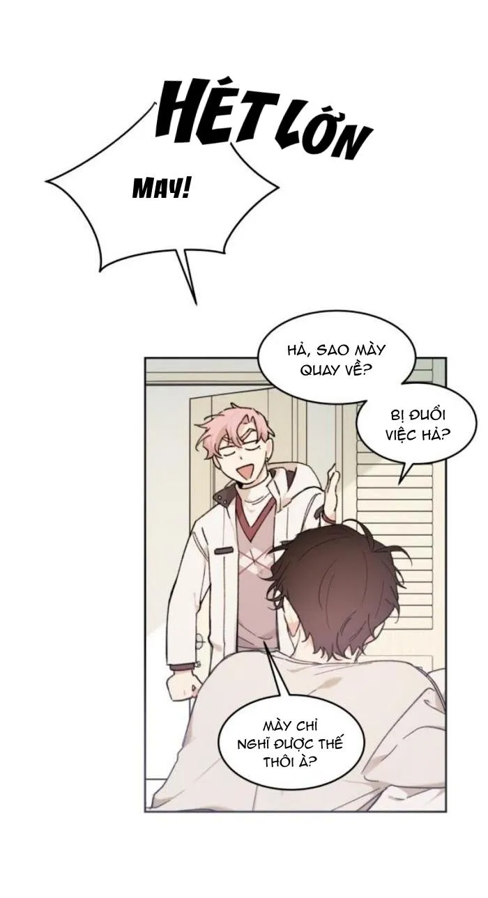 May Belongs To Me Chapter 23 Trang 19