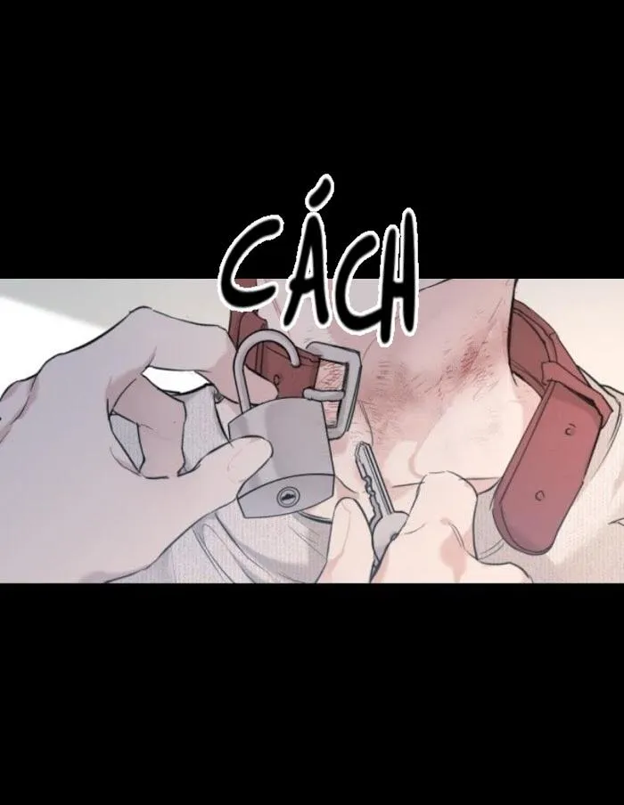 May Belongs To Me Chapter 24 Trang 9