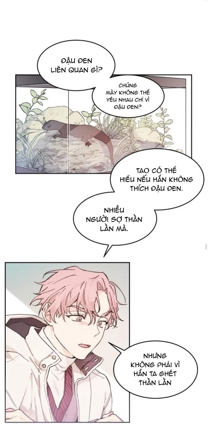 May Belongs To Me Chapter 24 Trang 20