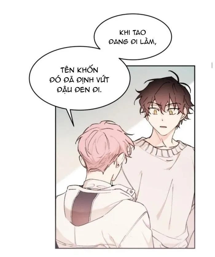 May Belongs To Me Chapter 24 Trang 21