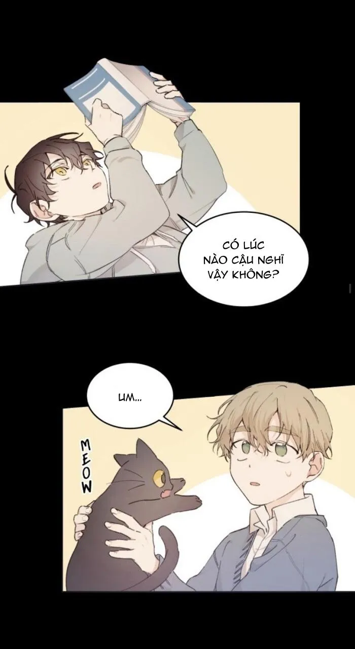 May Belongs To Me Chapter 24 Trang 30