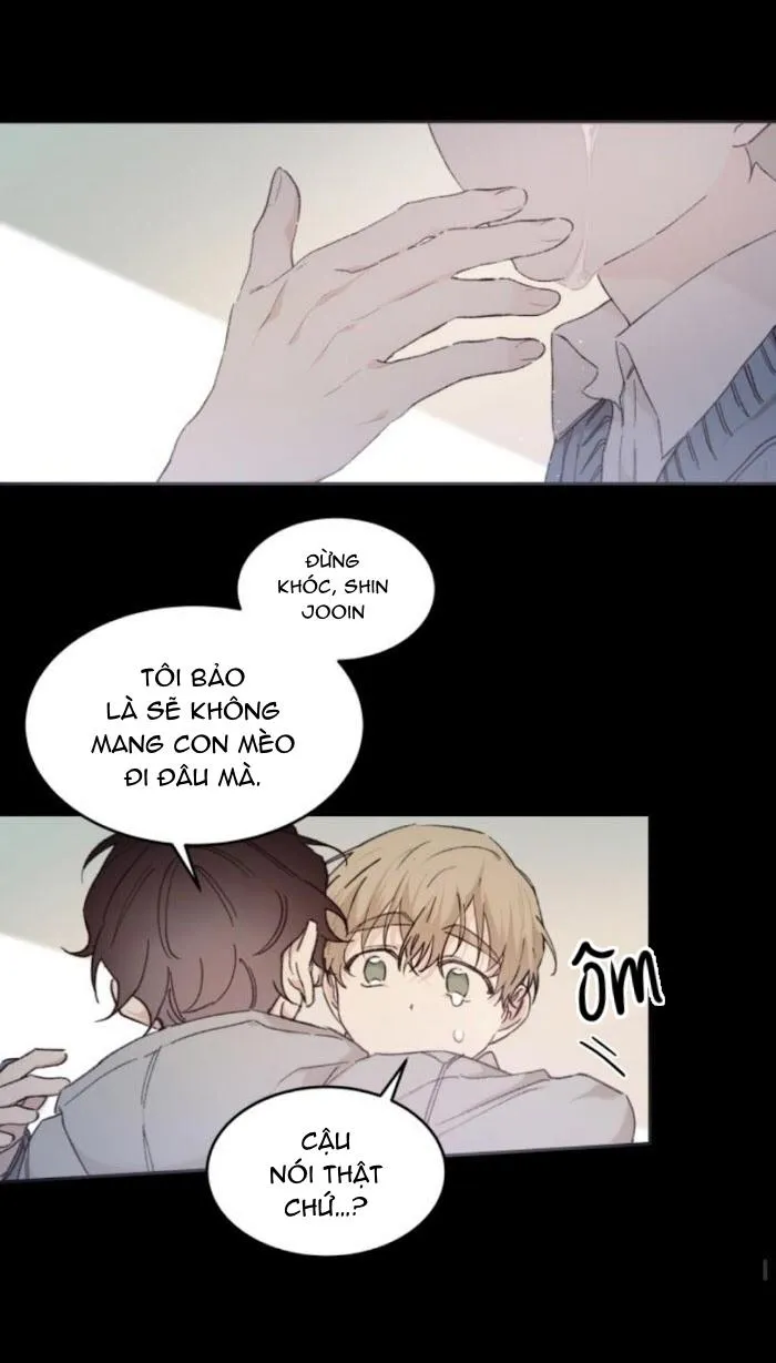 May Belongs To Me Chapter 24 Trang 44