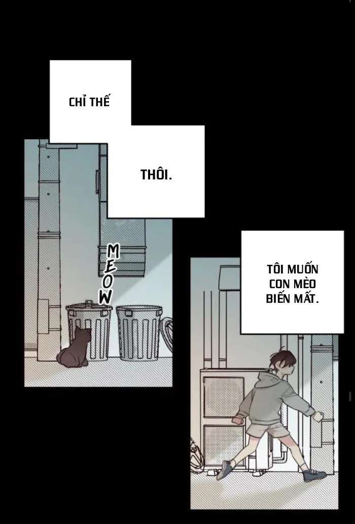 May Belongs To Me Chapter 24 Trang 51