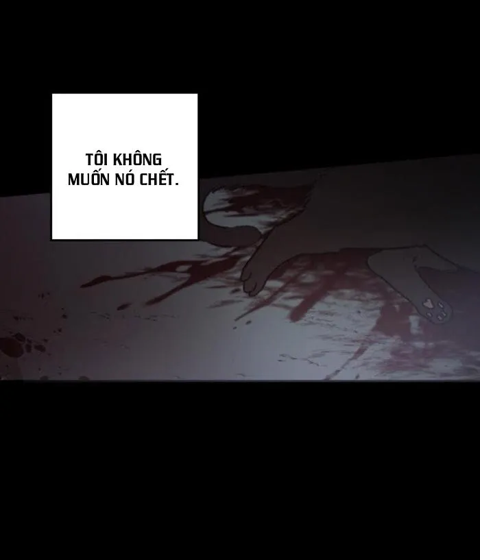 May Belongs To Me Chapter 24 Trang 54