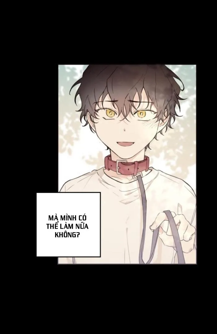 May Belongs To Me Chapter 24 Trang 64