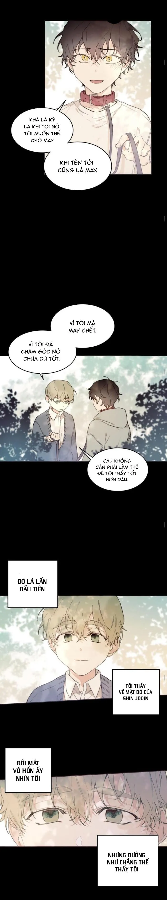 May Belongs To Me Chapter 25 Trang 4