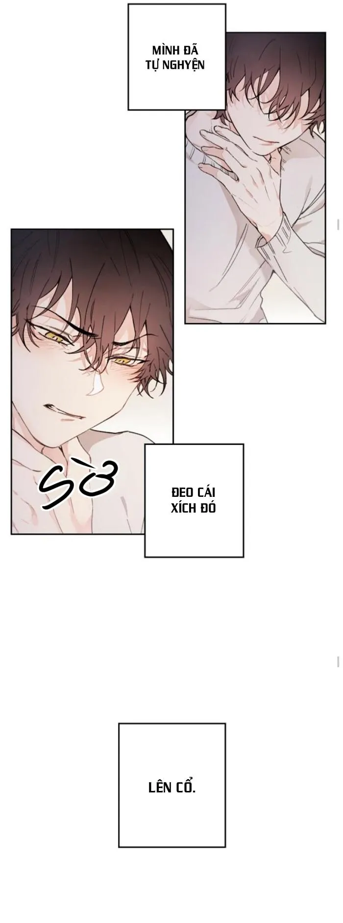 May Belongs To Me Chapter 25 Trang 8