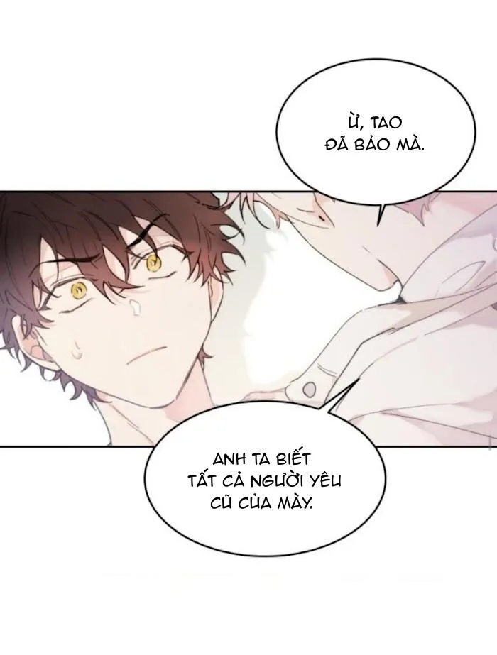 May Belongs To Me Chapter 25 Trang 14