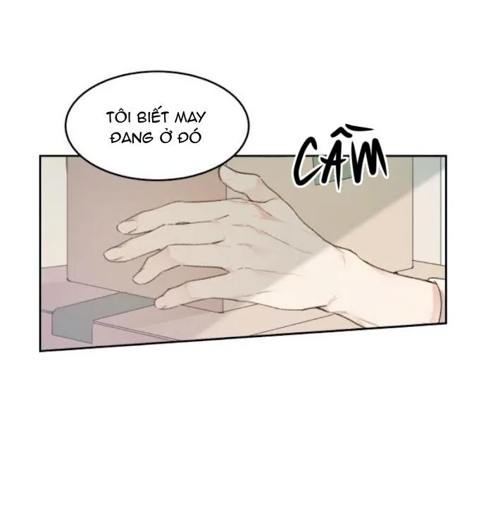 May Belongs To Me Chapter 25 Trang 18
