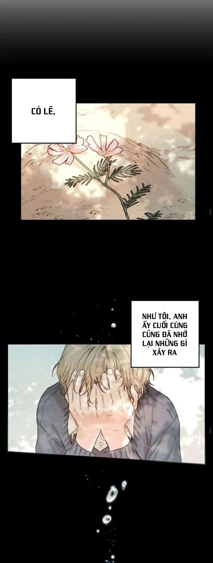 May Belongs To Me Chapter 26 Trang 21