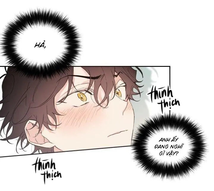 May Belongs To Me Chapter 27 Trang 4