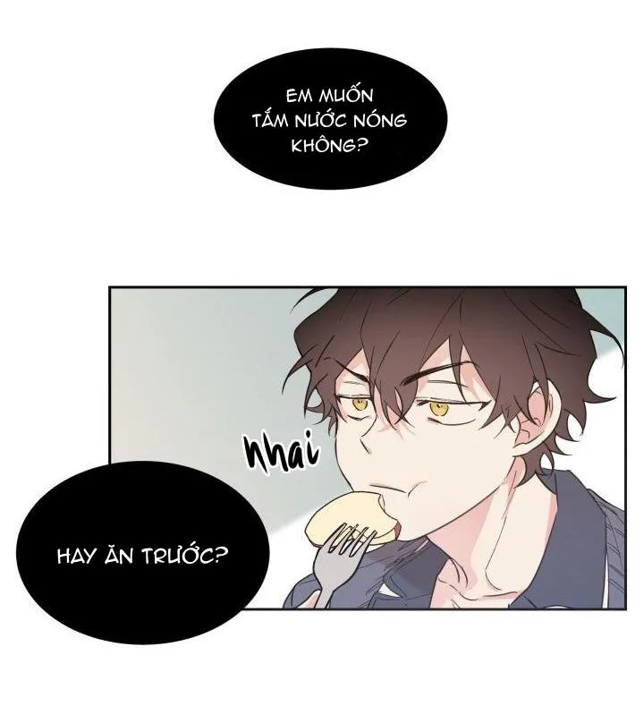 May Belongs To Me Chapter 27 Trang 11