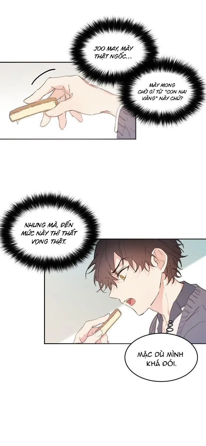 May Belongs To Me Chapter 27 Trang 14