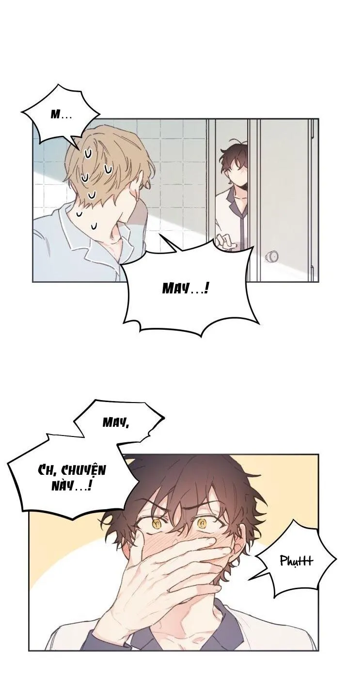 May Belongs To Me Chapter 27 Trang 38