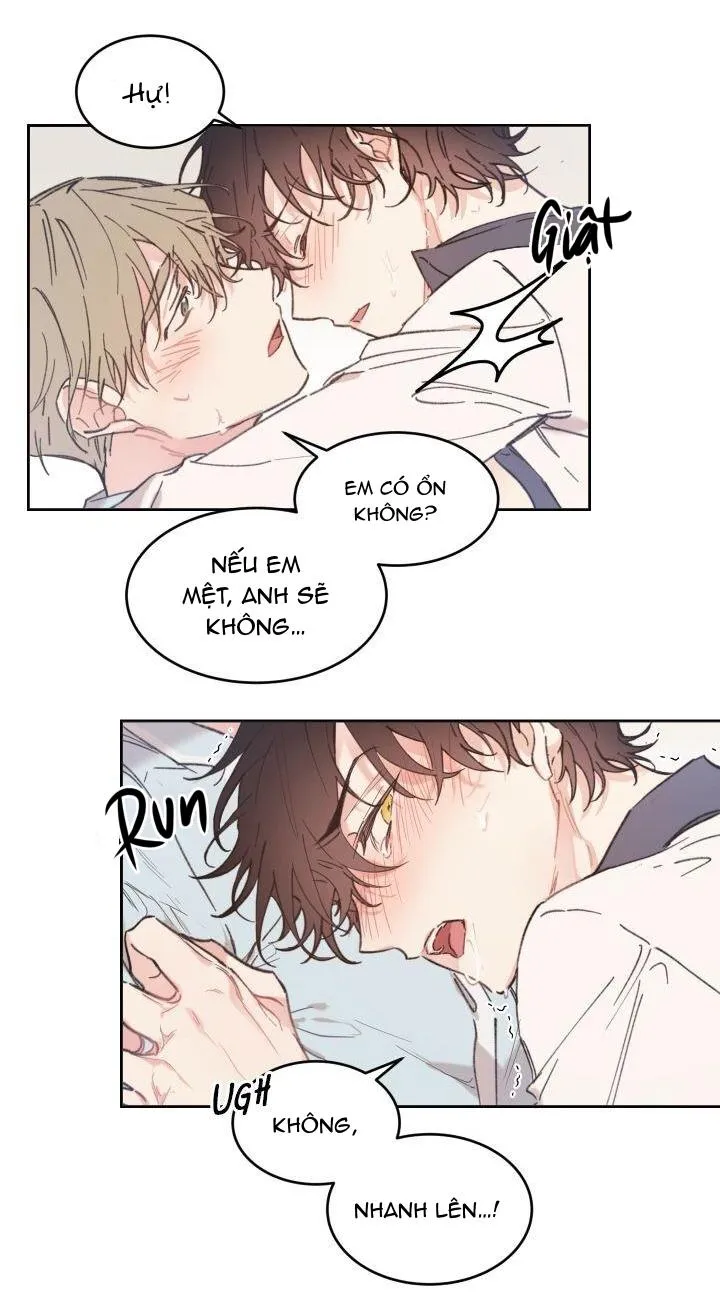 May Belongs To Me Chapter 28 Trang 3