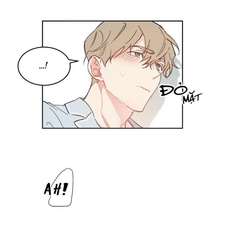 May Belongs To Me Chapter 28 Trang 6