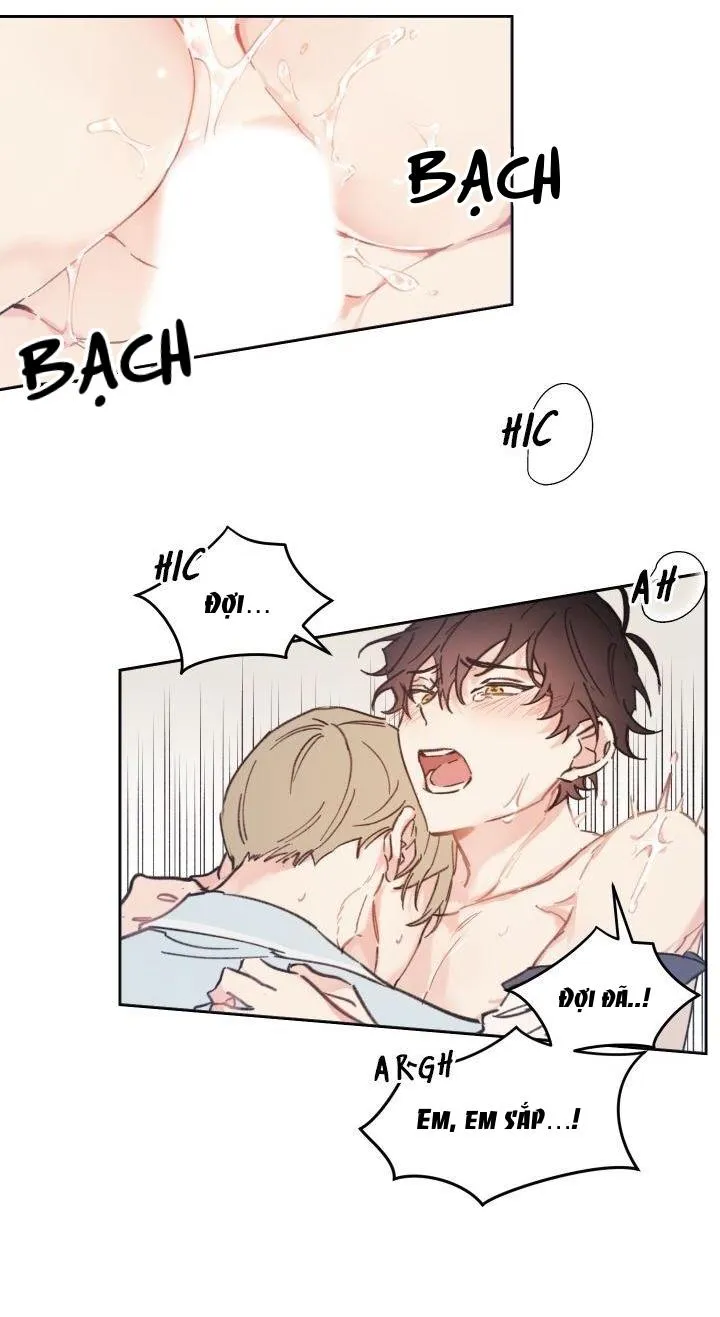 May Belongs To Me Chapter 28 Trang 8