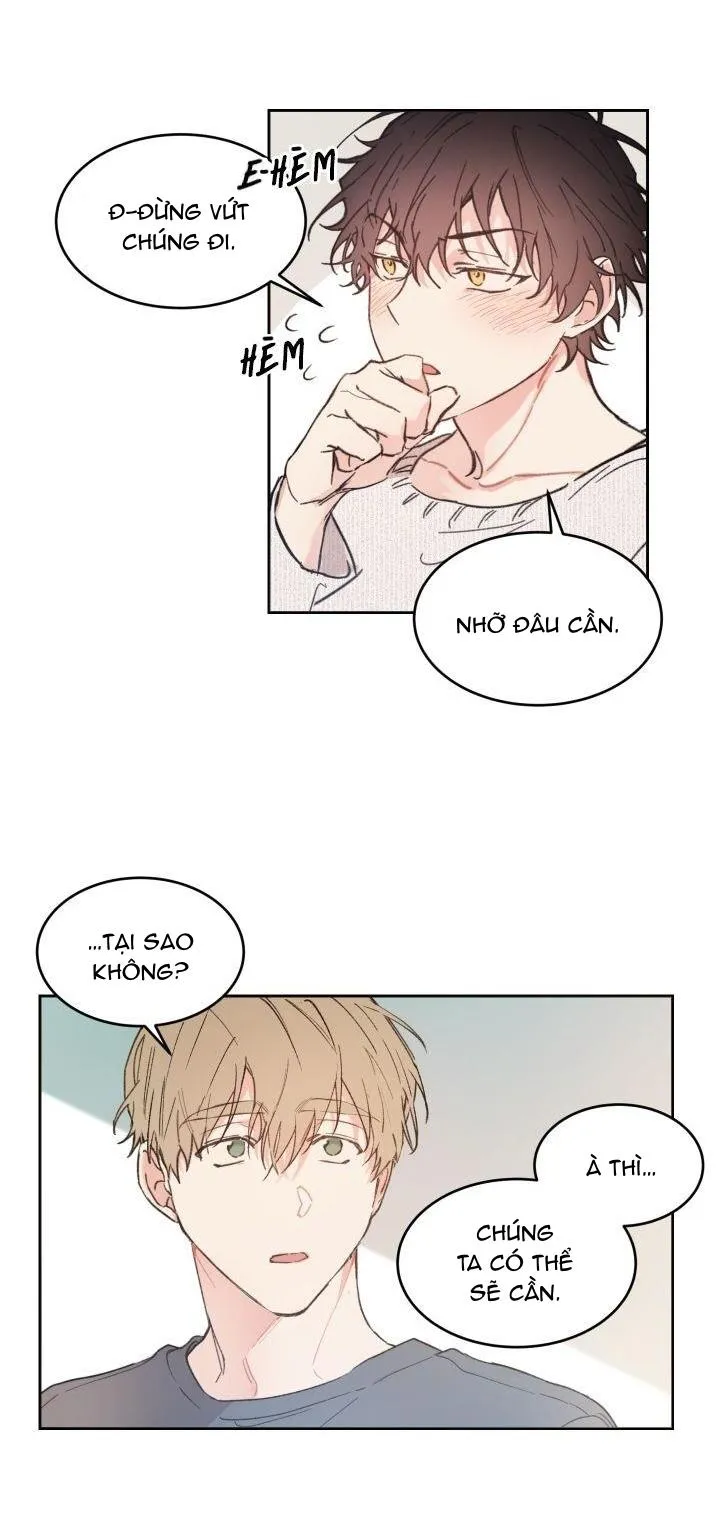 May Belongs To Me Chapter 28 Trang 17