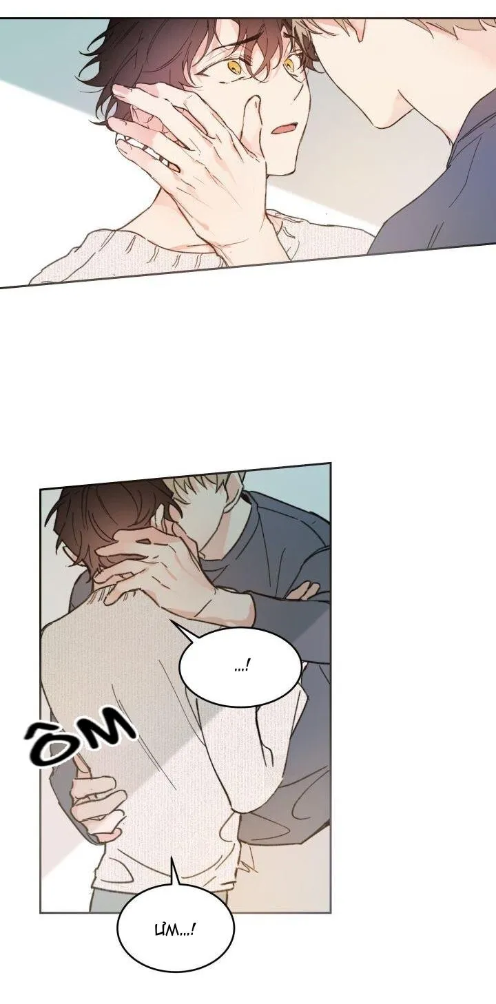 May Belongs To Me Chapter 28 Trang 28