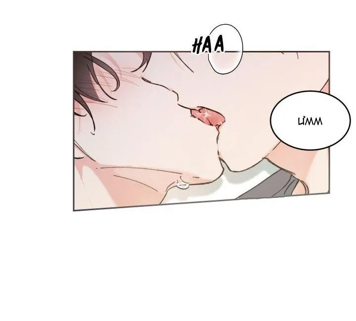 May Belongs To Me Chapter 28 Trang 29