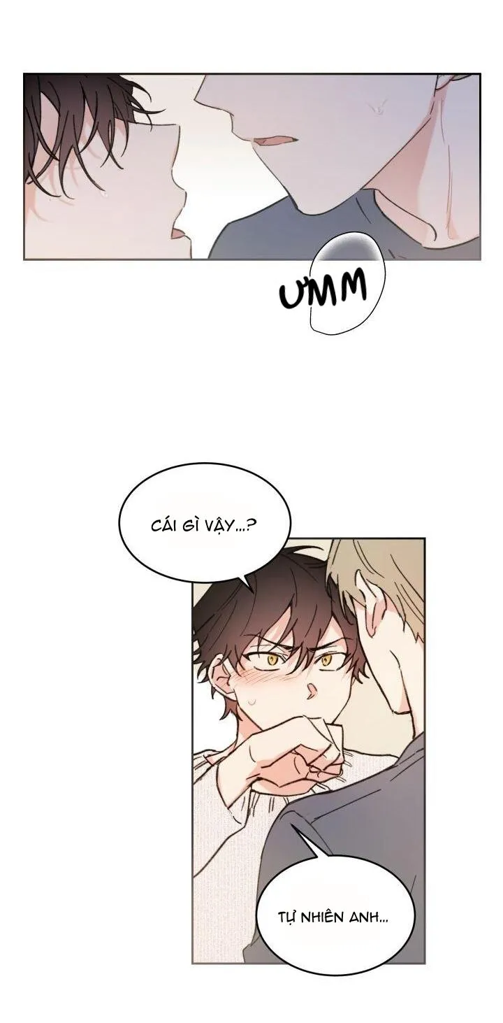 May Belongs To Me Chapter 28 Trang 31