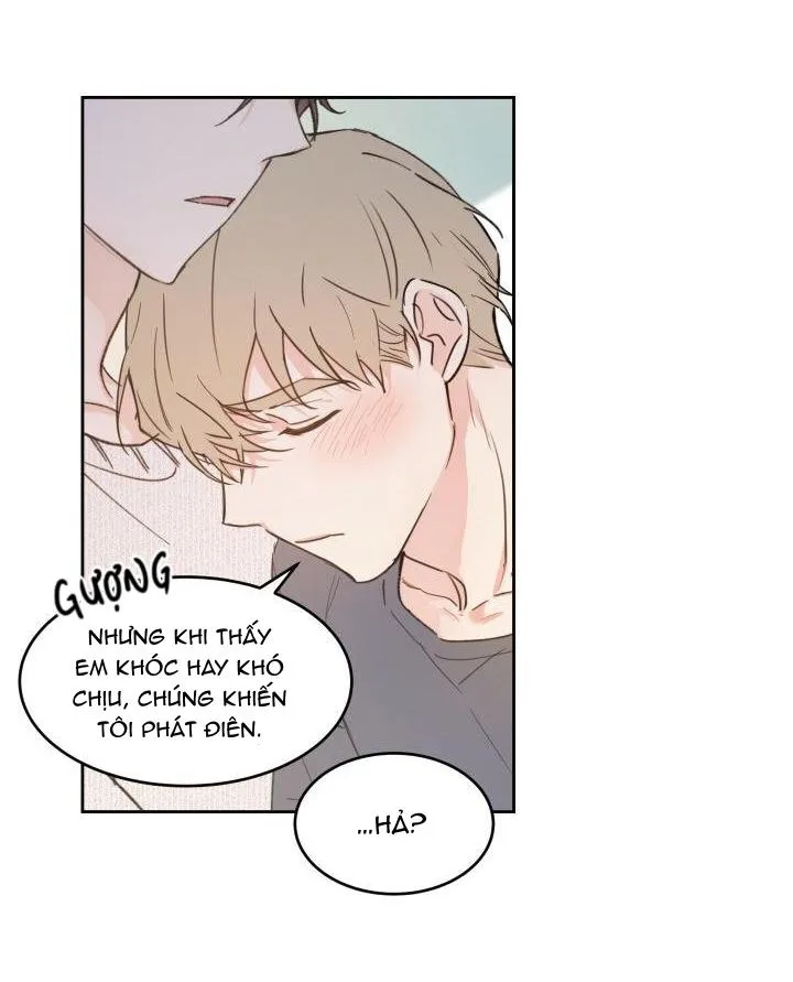 May Belongs To Me Chapter 28 Trang 37