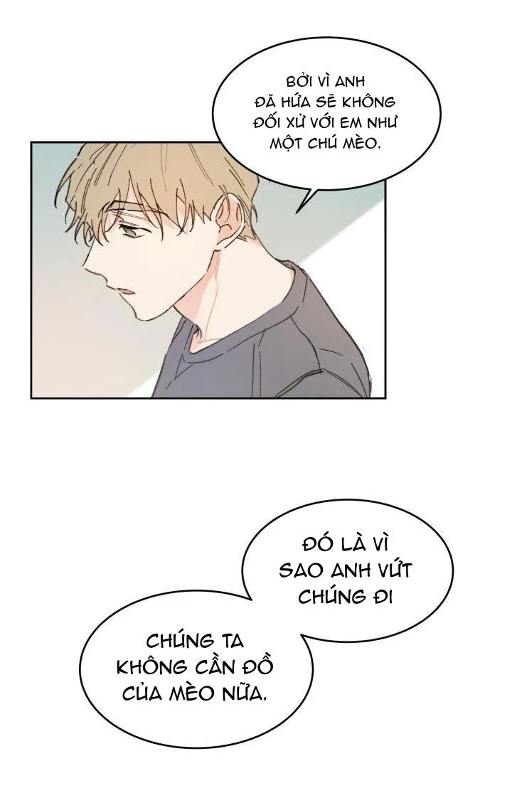 May Belongs To Me Chapter 28 Trang 45