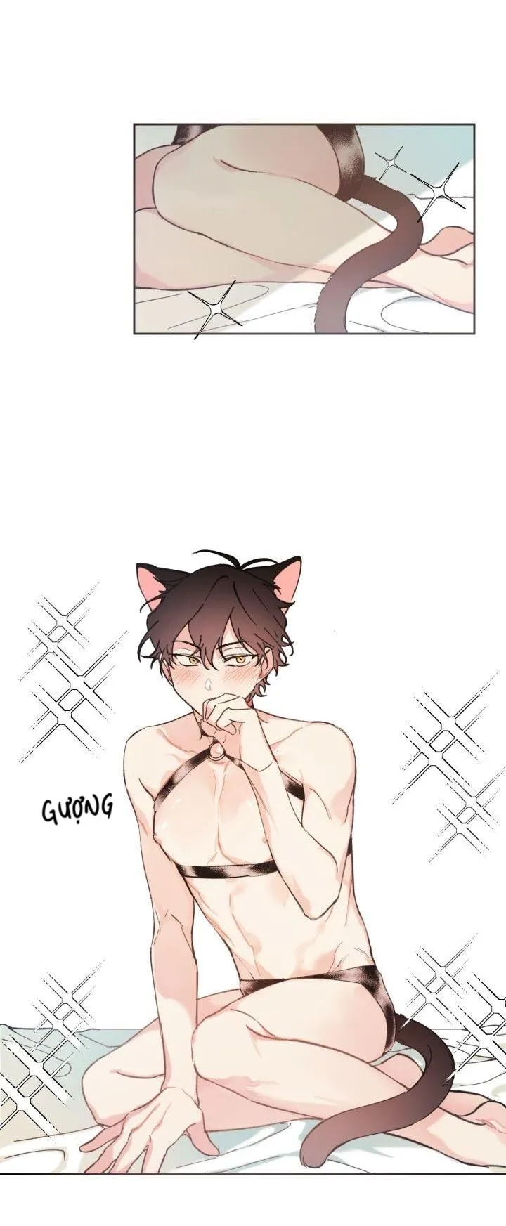 May Belongs To Me Chapter 29 Trang 12