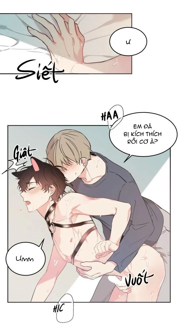 May Belongs To Me Chapter 29 Trang 17