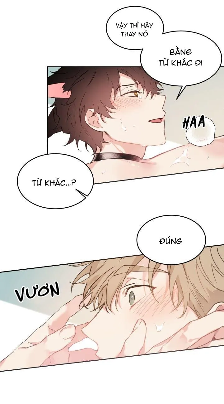 May Belongs To Me Chapter 29 Trang 38