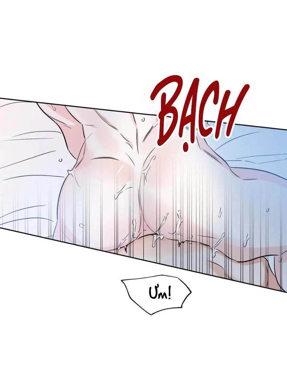 MAY MẮN NƠI THIÊN ĐƯỜNG Chapter 17 Trang 11