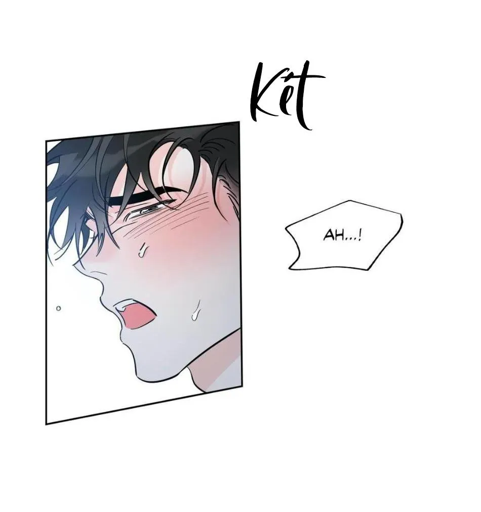 MAY MẮN NƠI THIÊN ĐƯỜNG Chapter 17 Trang 12