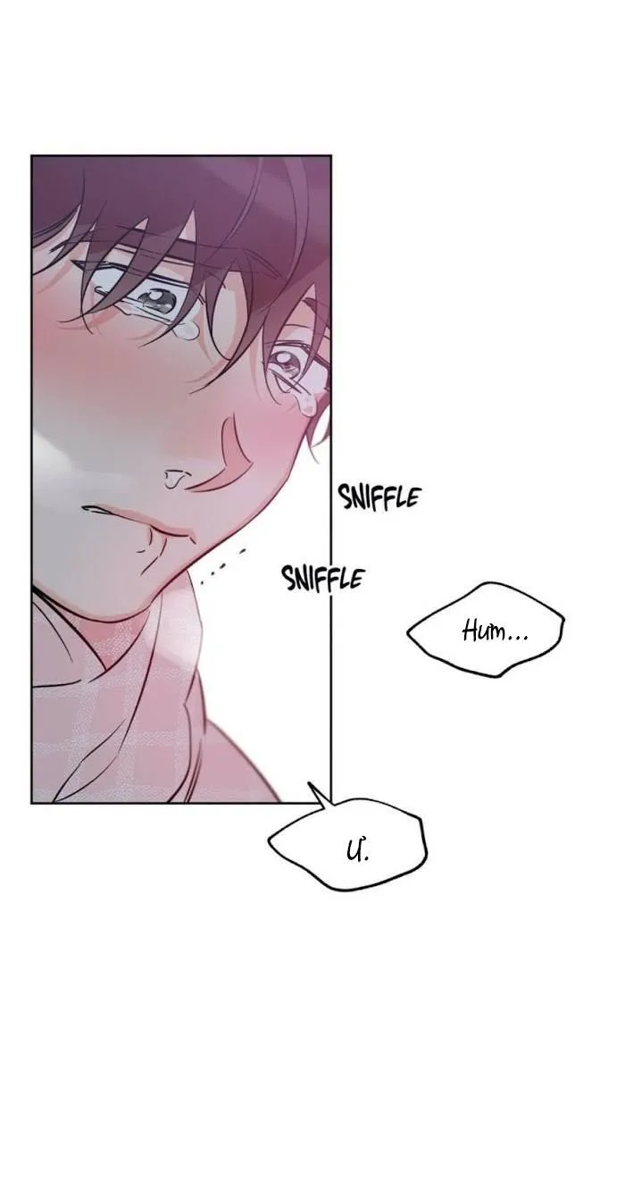 MAY MẮN NƠI THIÊN ĐƯỜNG Chapter 33 Trang 41