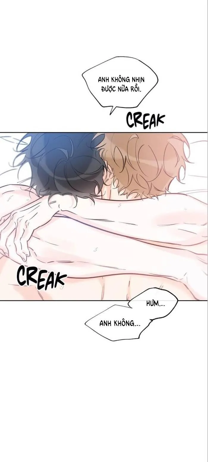 MAY MẮN NƠI THIÊN ĐƯỜNG Chapter 35 Trang 51