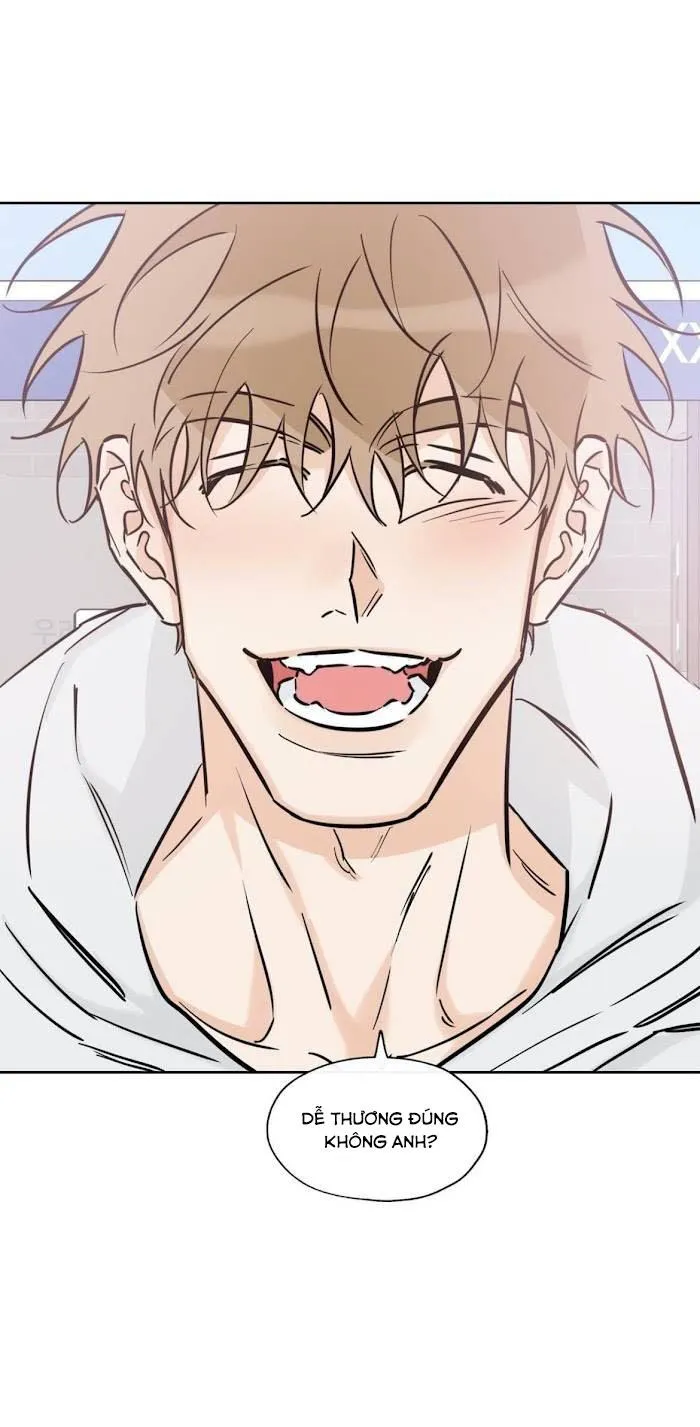 MAY MẮN NƠI THIÊN ĐƯỜNG Chapter 38 Trang 14